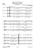 Chorus TH 87 No. 3 - P. I. TCHAIKOVSKY - <font color=#666666>Saxophone Quartet</font>