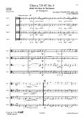 Chorus TH 87 No. 3 - P. I. TCHAIKOVSKY - <font color=#666666>Viola Quartet</font>
